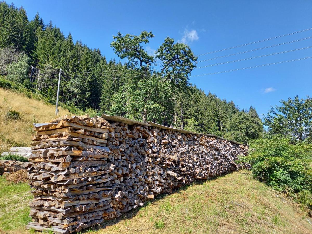 Landhaus Gruenjuwel Himmelberg Zewnętrze zdjęcie