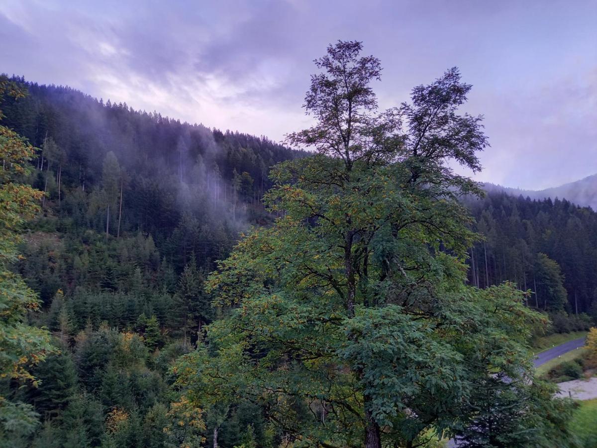 Landhaus Gruenjuwel Himmelberg Zewnętrze zdjęcie